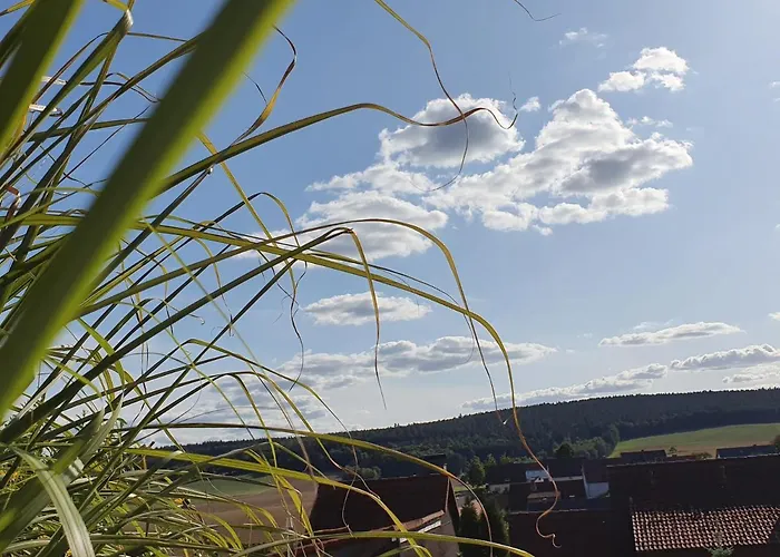 Am Sonnigen Haimberg شقة فولدا