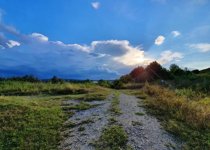 Am Sonnigen Haimberg * فولدا