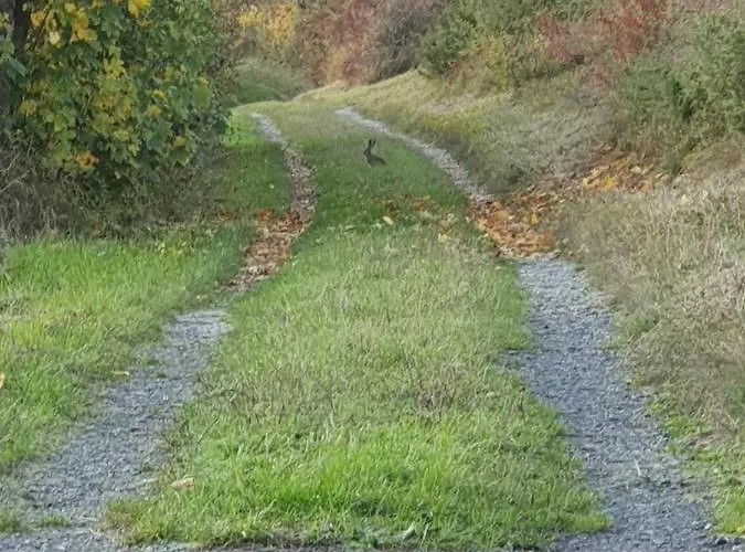 Am Sonnigen Haimberg شقة *