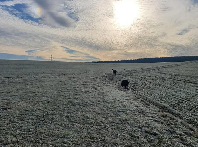 Am Sonnigen Haimberg